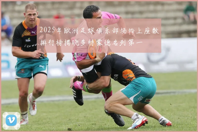 2025年欧洲足球俱乐部场均上座数排行榜揭晓多特蒙德名列第一