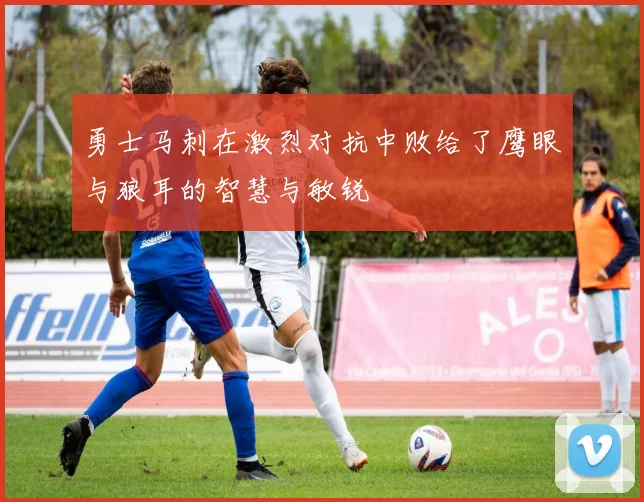 勇士马刺在激烈对抗中败给了鹰眼与狼耳的智慧与敏锐
